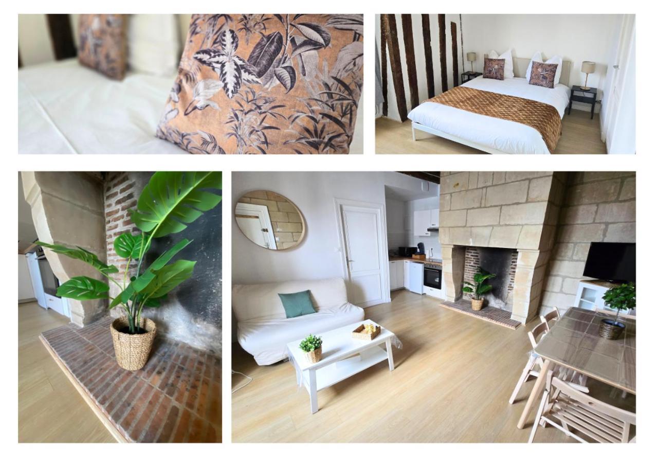 Apartamento Le Constantine - Quartier Historique - Charme & Ancien Tours Exterior foto